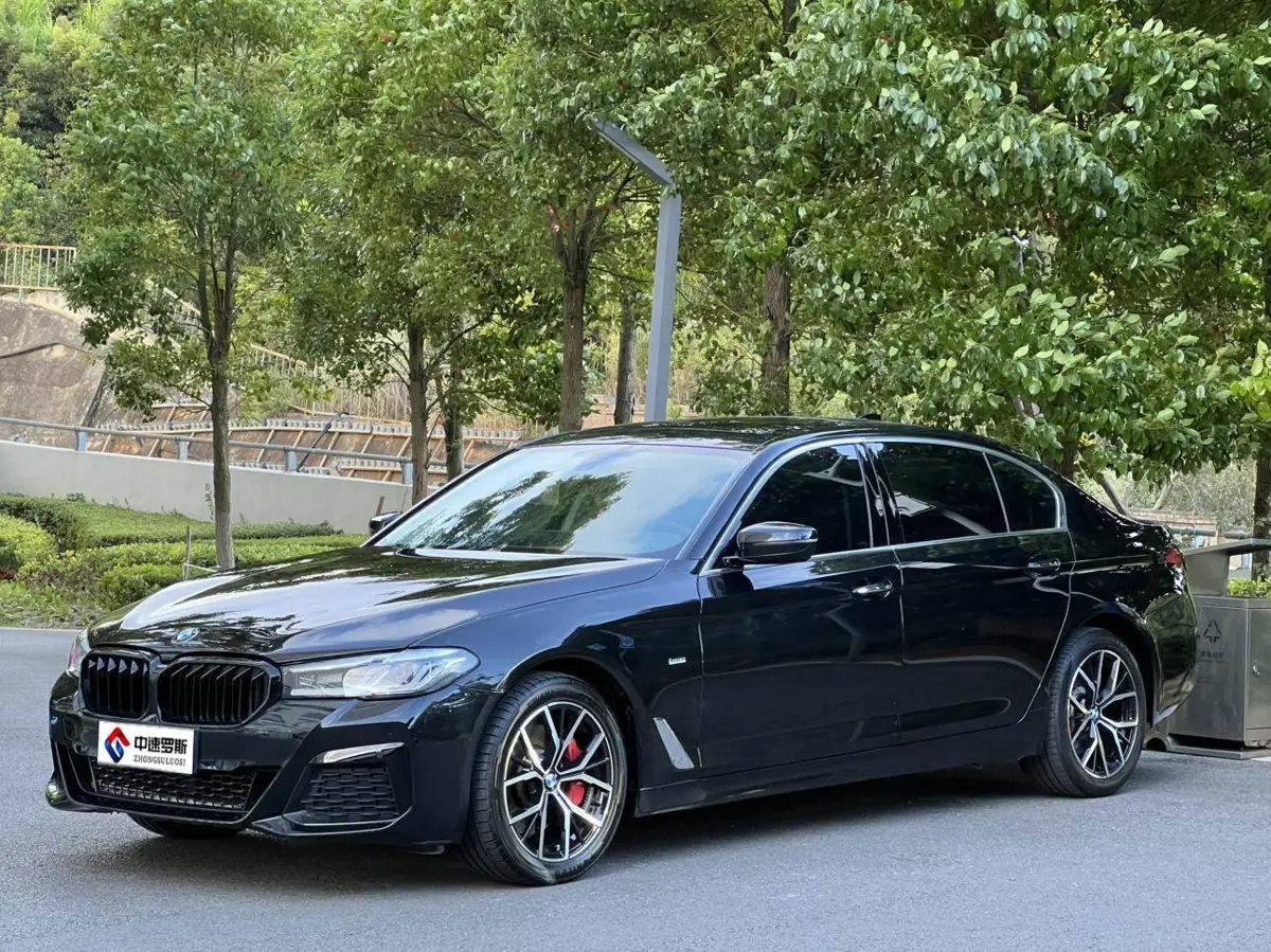 BMW 5 Series 2018 530Li Leading Luxury Package