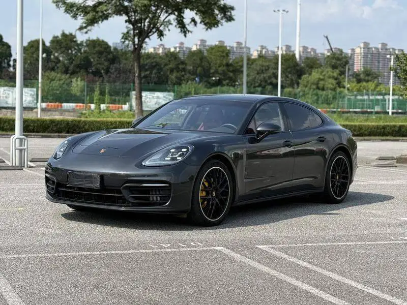 Panamera 2023 Panamera 2.9T Platinum Edition