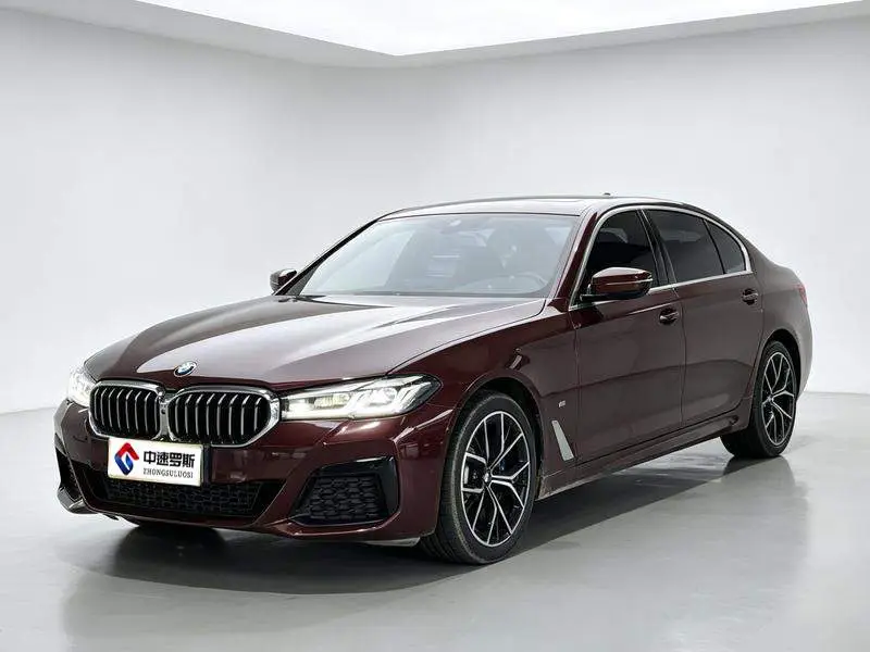 BMW 5 Series 2021 530Li Premium M Sport Package