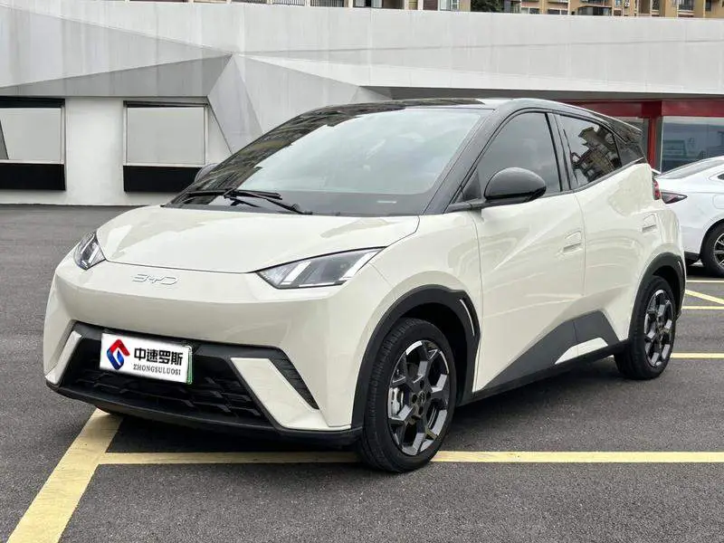 Seagull 2025 305km Freedom Edition