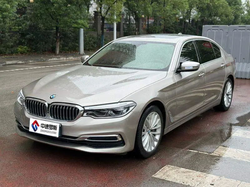 BMW 5 Series 2020 530Li Premium Luxury Package