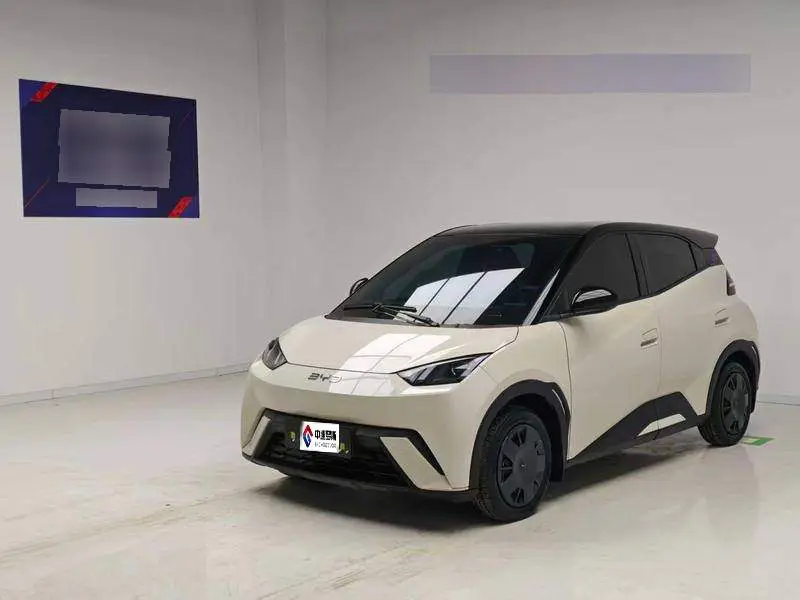 Seagull 2025 305km Vitality Edition