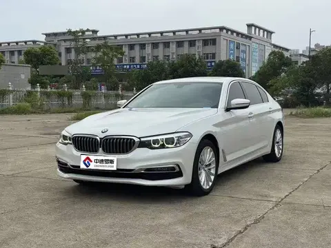 BMW 5 Serie 2019 530Li Leading Luxury Package