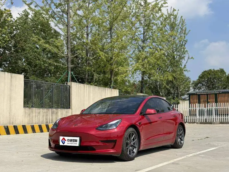 Модель 3 2022 rear-wheel drive version