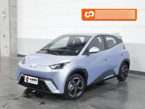 Seagull 2024 Honor Edition 305km Freedom Edition