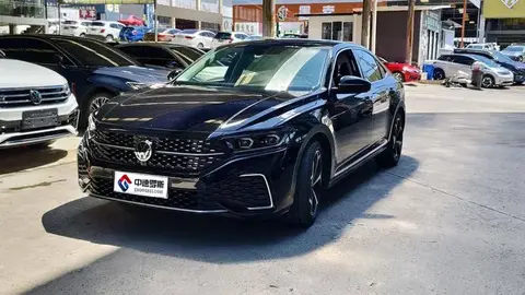Passat 2023 330TSI Starry Sky Luxury Edition