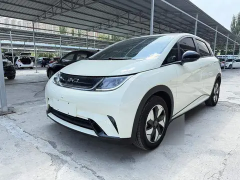 dolphin 2025 Smart Driving Edition 420กม. Free Edition
