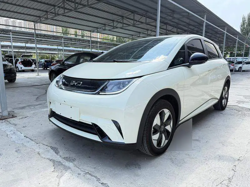 dolphin 2025 Smart Driving Edition 420km Free Edition
