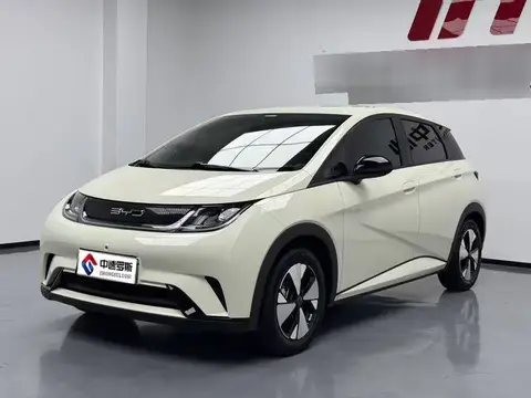 dolphin 2024 Honor Edition 420km Freedom Edition