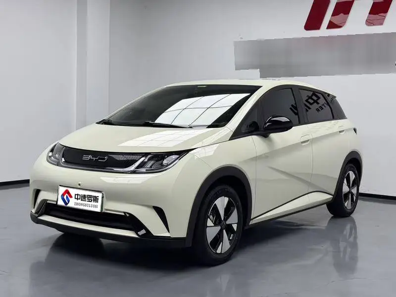 dolphin 2024 Honor Edition 420km Freedom Edition