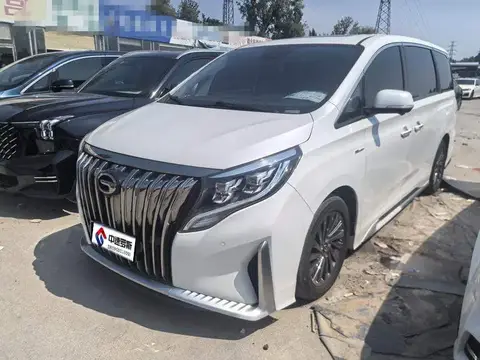 Trumpchi M8 2021 Master Series 390T Supreme Edition