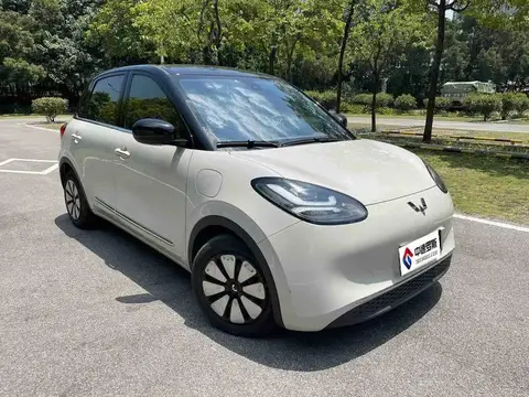 Wuling Bingo 2024 333km Lingxi Internet Mẫu