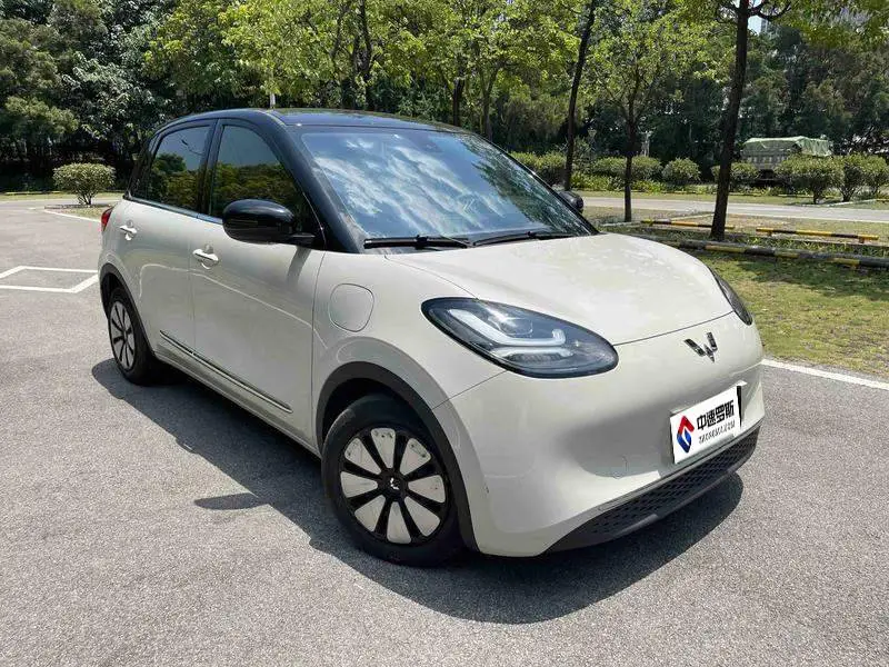 Wuling Bingo 2024 333km Lingxi Internet Mẫu