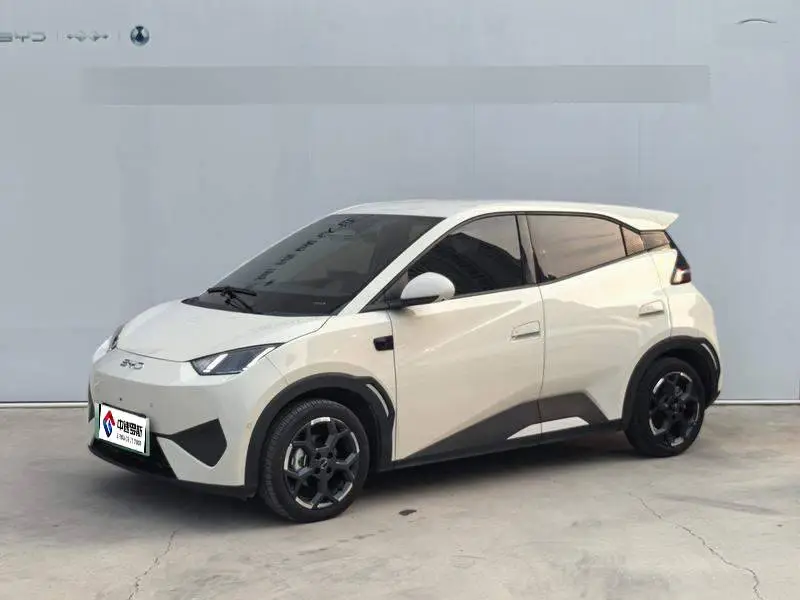 Seagull 2025 Smart Driving Edition 405km Flying Edition