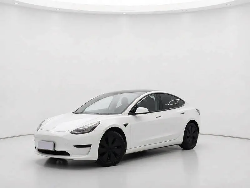 Modelo 3 2021 Standard Range RWD Upgraded 3D6
