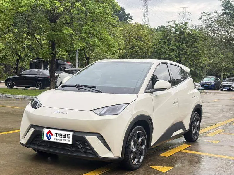 Seagull 2024 Honor Edition 305กม. Freedom Edition