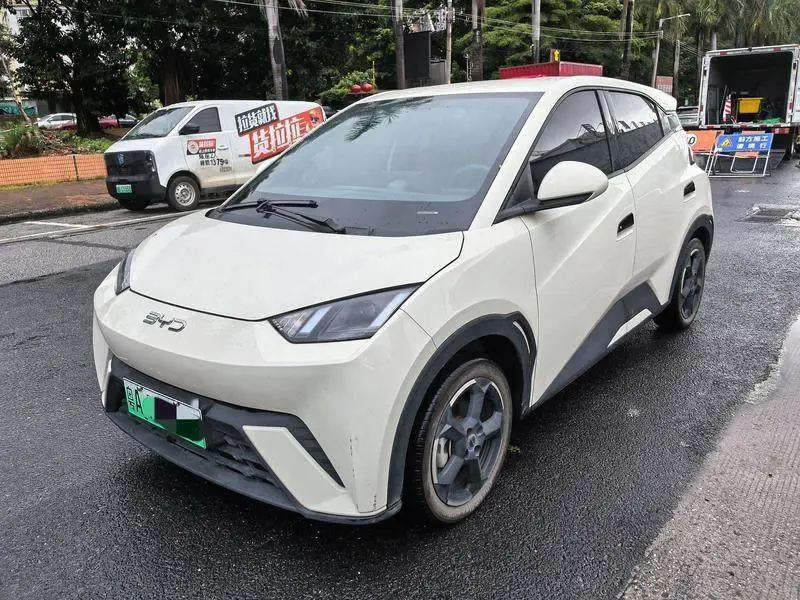 Seagull 2023 Vitality Edition