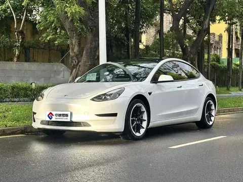 Model 3 2021 Standard Range RWD Upgraded Version
