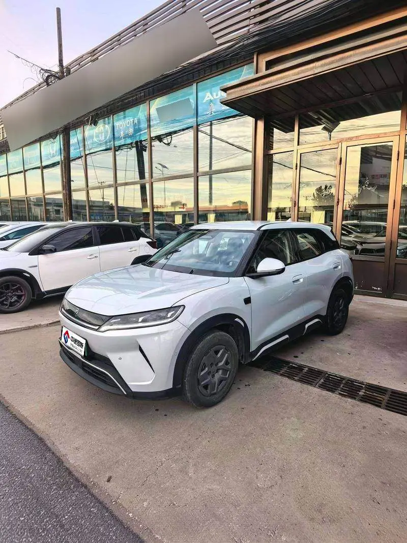 YuanUP 2025 Smart Driving Edition 401KM Vitality Edition