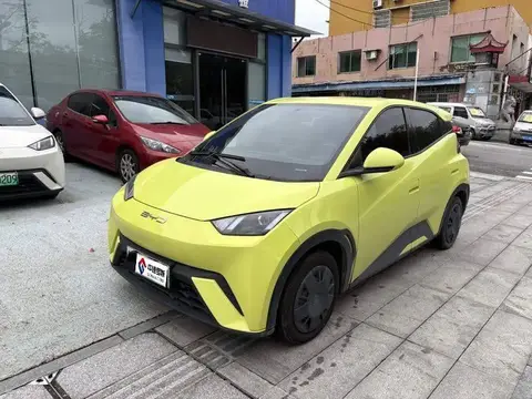 Seagull 2023 Vitality Edition
