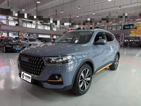 Haval H6 2023 National Trend Edition 1.5T Automatic Champion Edition