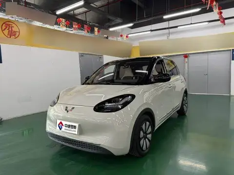 Wuling Bingo 2023 333km Lingxi Internet+