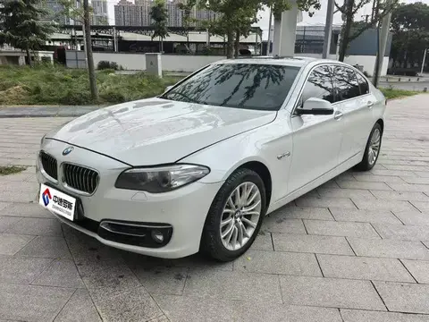 BMW 5 Series 2014 525Li Luxury Design Package