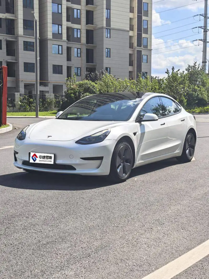 Model 3 2021 Standard Range RWD Upgraded 3D6