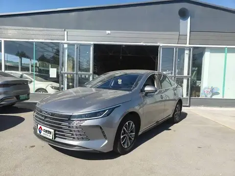 Destroyer 05 2024 Honor Edition DM-i 55KM Luxury