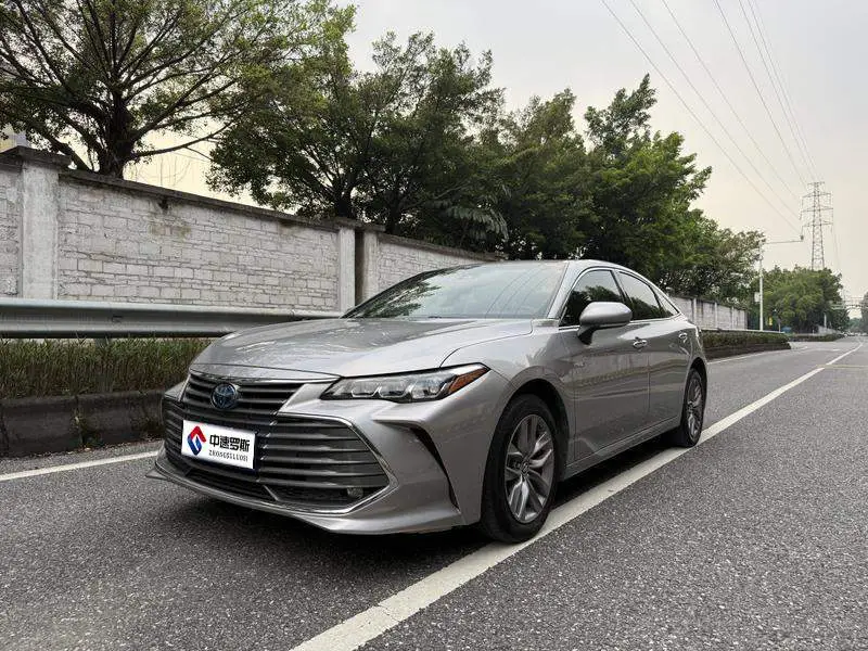 Asian Dragon 2019 Hybrid 2.5L Luxury Edition National VI