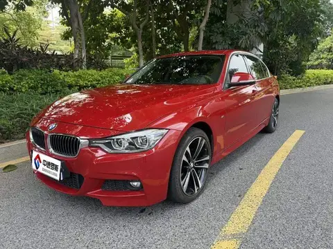 BMW 3 Серия 2019 320Li M Sport Package