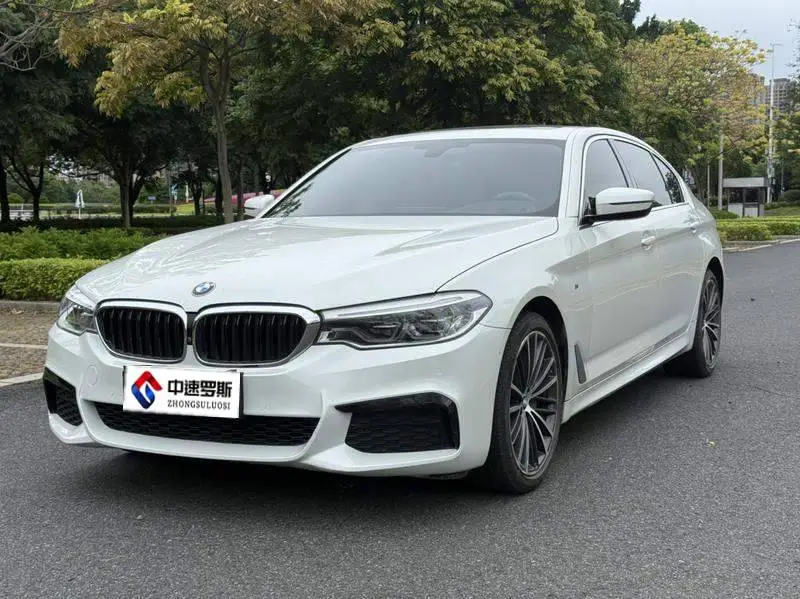 BMW 5 Series 2020 530Li Leading M Sport Package