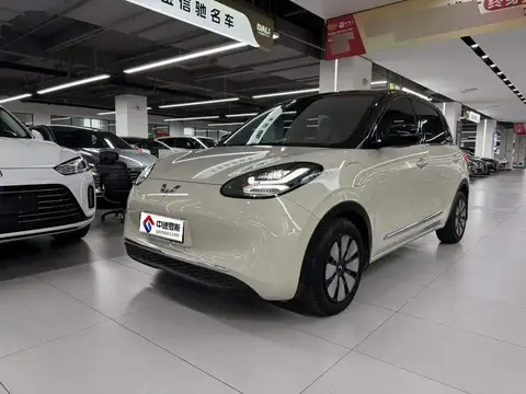 Wuling Bingo 2023 410km Lingxi Premium Edition