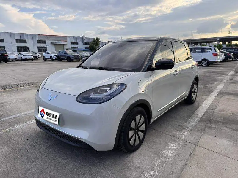 Wuling Bingo 2023 333km Enjoy+