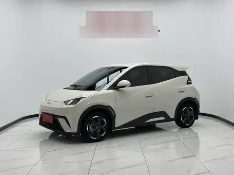 Seagull 2024 Glory Edition 405km Flying Edition