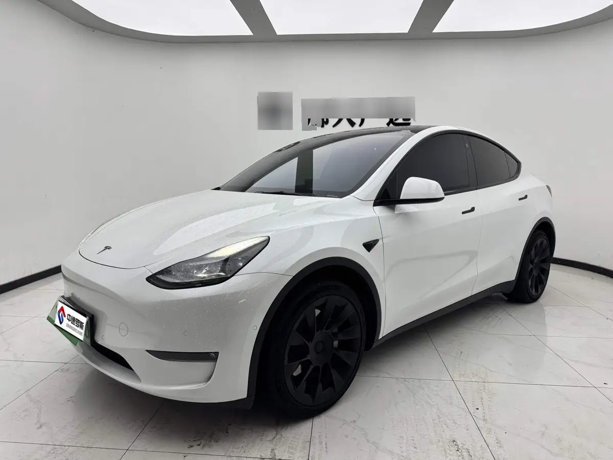 Model Y 2021 Long Range All-Wheel Drive