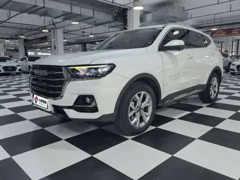 Haval H6 2021 National Trend Edition 1.5T Automatic Champion Edition