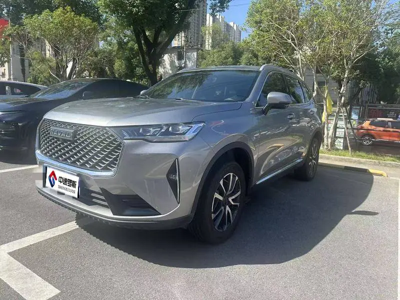 Haval H6 2022 third generation 1.5T automatic two-wheel drive Pro