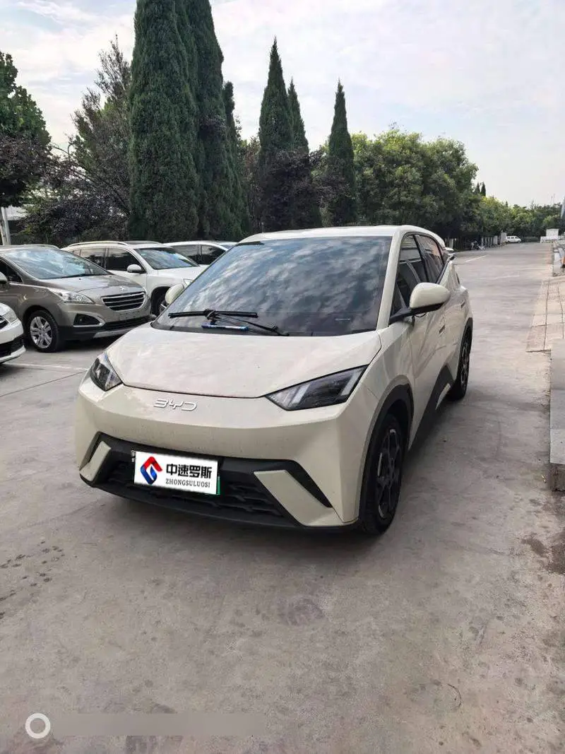 Seagull 2025 Smart Driving Edition 405كم Flying Edition