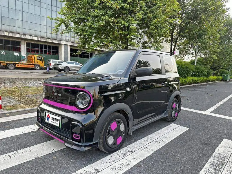 panda 2024 200km Panda Kart