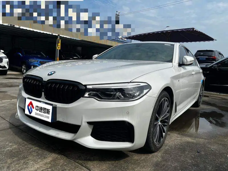 BMW 5 Series 2019 530Li Premium M Sport Package