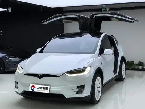 Modèle X 2019 long-range version