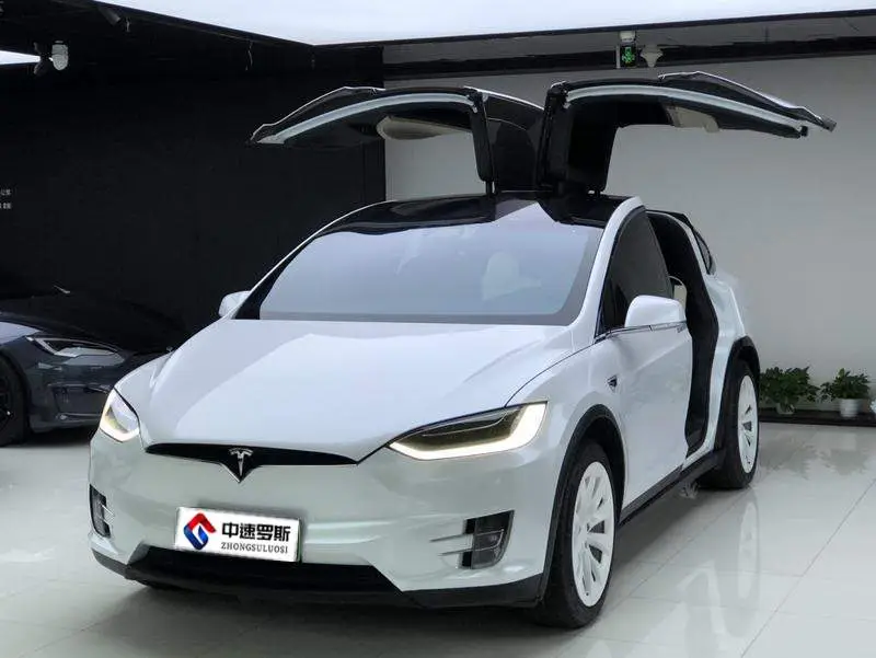 Modelo X 2019 long-range version