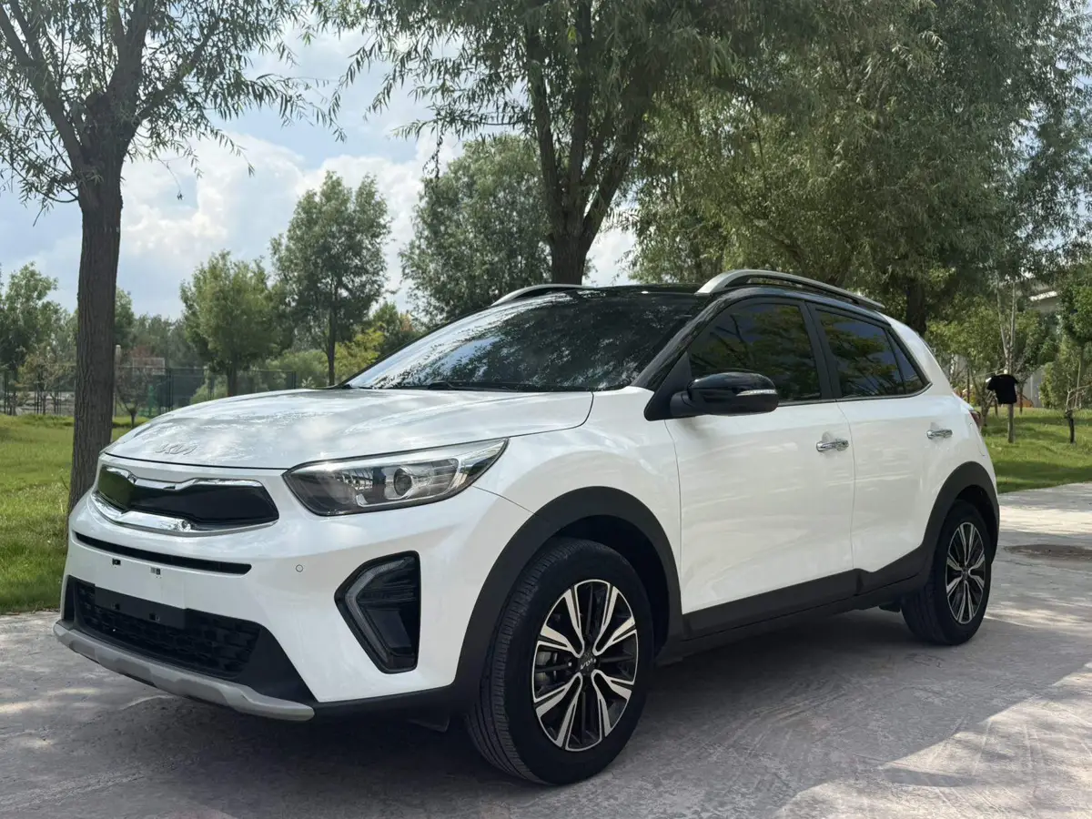 Yipao 2021 1.4L CVT Sunroof الطراز