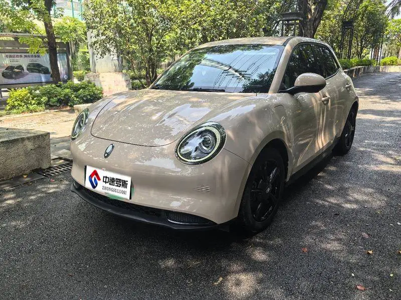 Ora Good Cat 2022 400km standard range luxury lithium iron phosphate