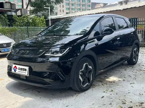 dolphin 2025 Smart Driving Edition 420กม. Free Edition