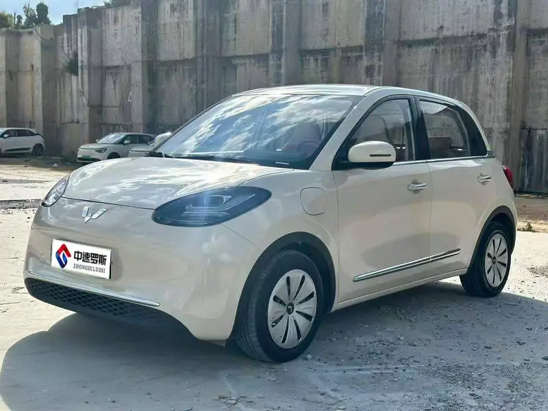Wuling Bingo 2025 Model 333km Enjoy Edition