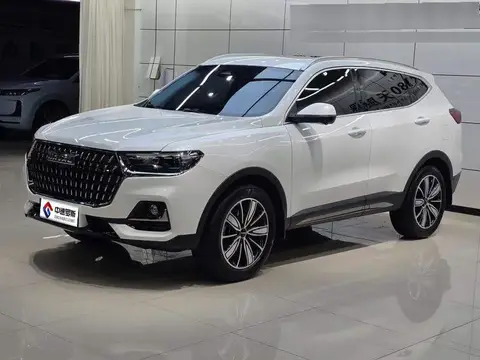 Haval H6 2023 National Trend Edition 1.5T Automatic City Edition