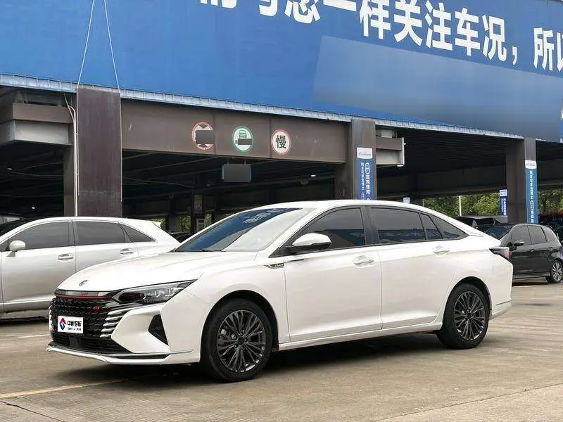 Yixuan MAX 2021 1.5T Super Dad Edition