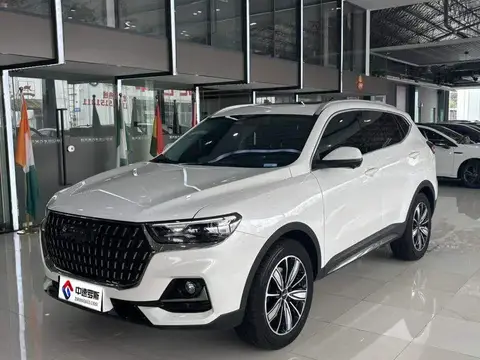 Haval H6 2023 National Trend Edition 1.5T Automatic Champion Edition